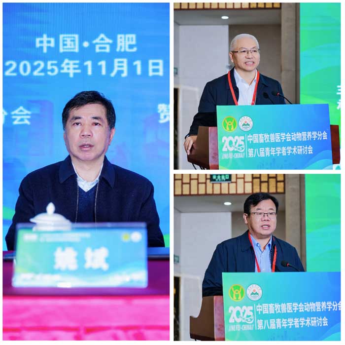 2025110401.jpg 2025110401.jpg