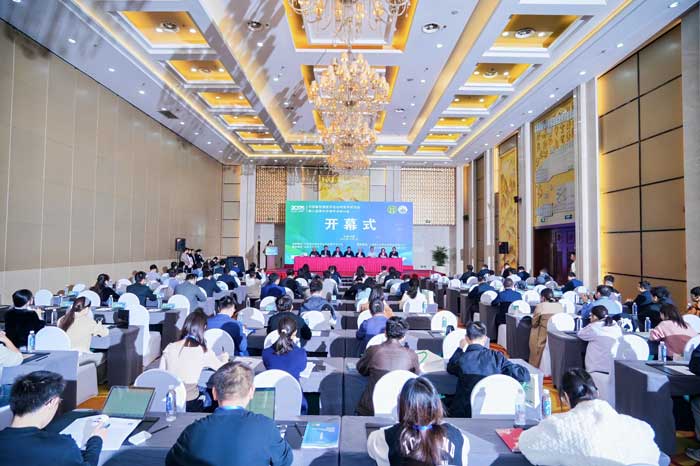 2025110402.jpg 2025110402.jpg